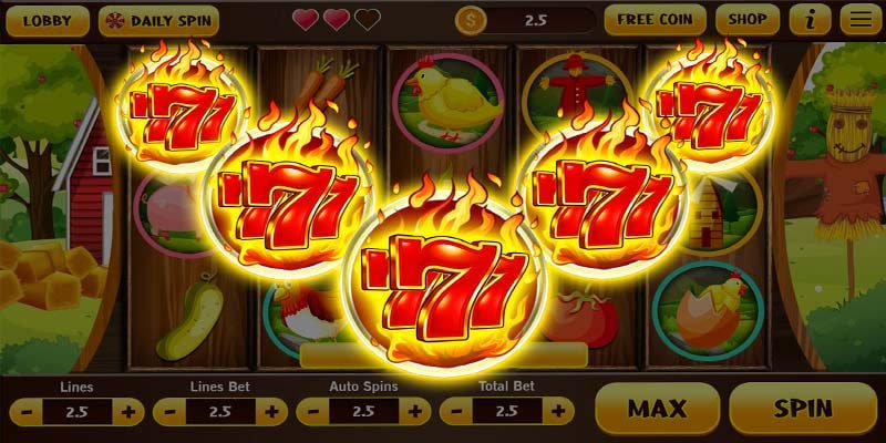 113bet 113bet